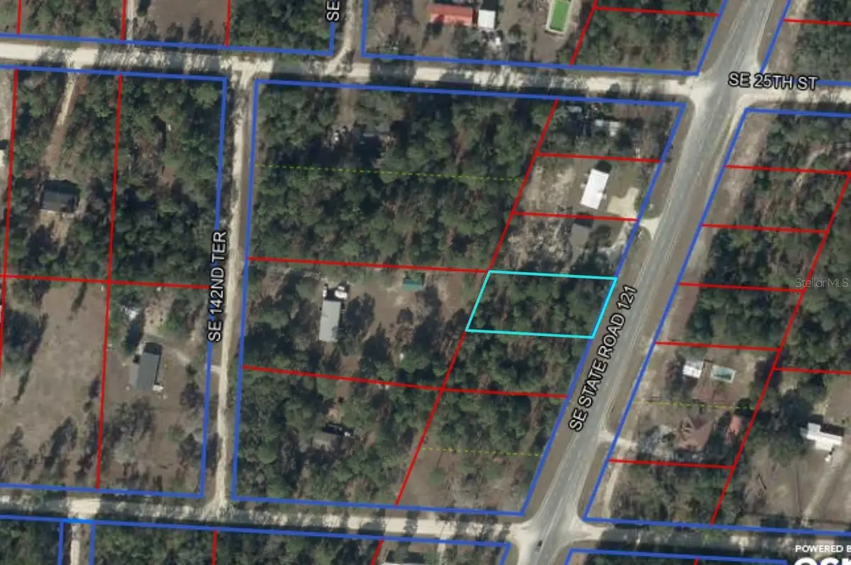 Se State Road 121 Lot 4, Morriston, FL 32668 - #1