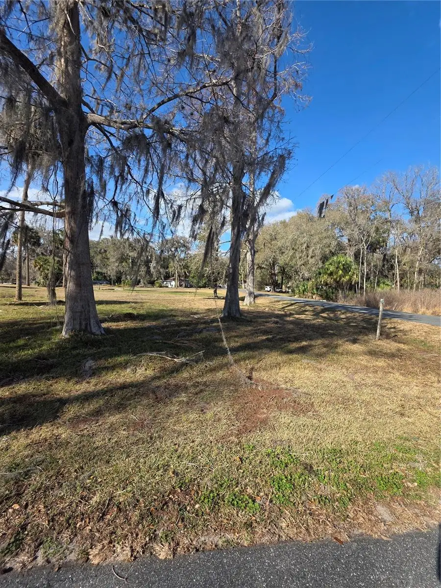 TBD Cr 426, Lake Panasoffkee, FL 33538 - #3