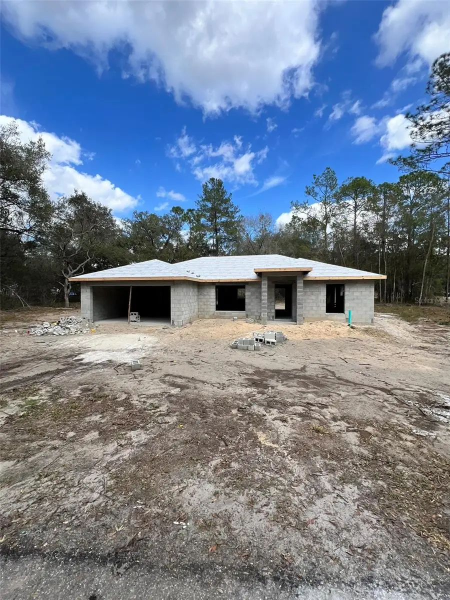 3 Guava Pass Run, Ocklawaha, FL 32179 - #1