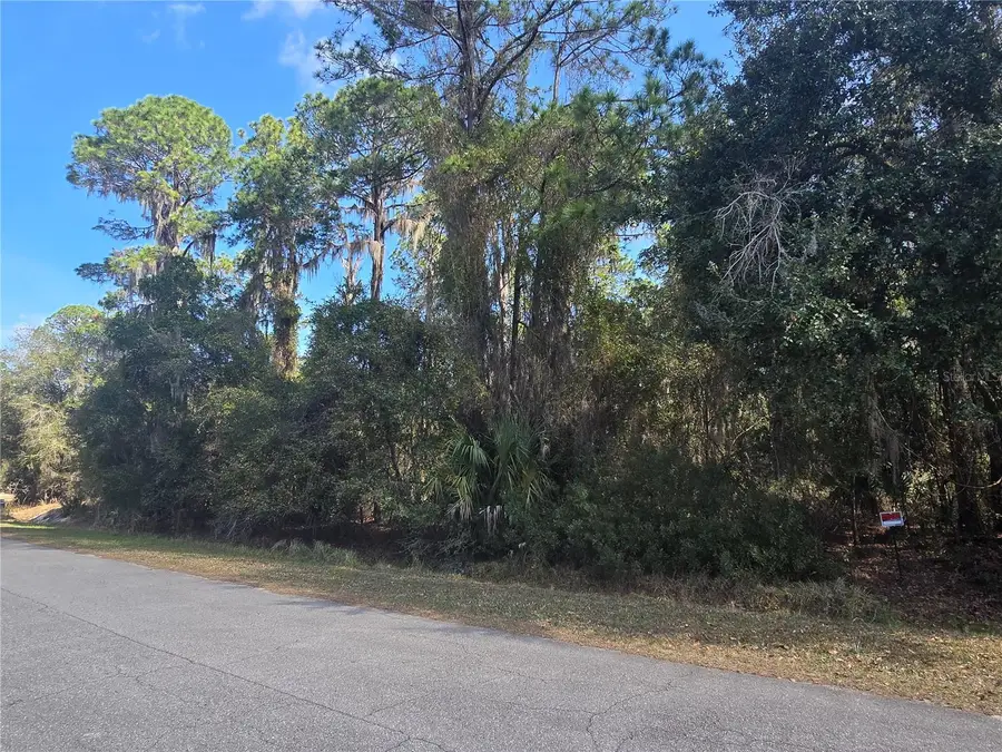 13837 SE 201st Terrace, Hawthorne, FL 32640 - #2