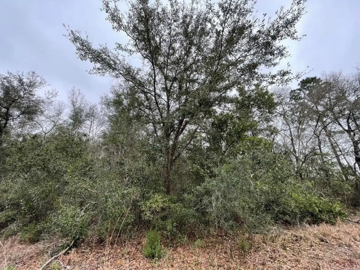 0 NE 128 Avenue, Williston, FL 32696 - #1