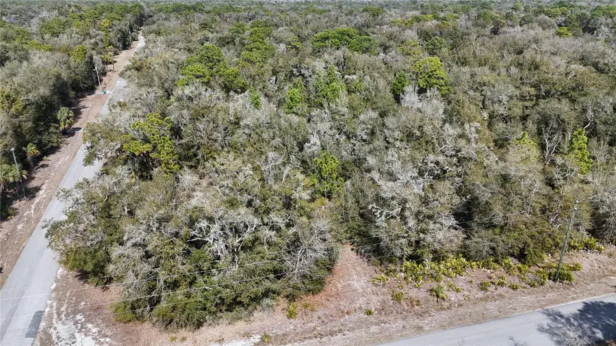 12784 W Cypress Vine Lane, Crystal River, FL 34428 - #3