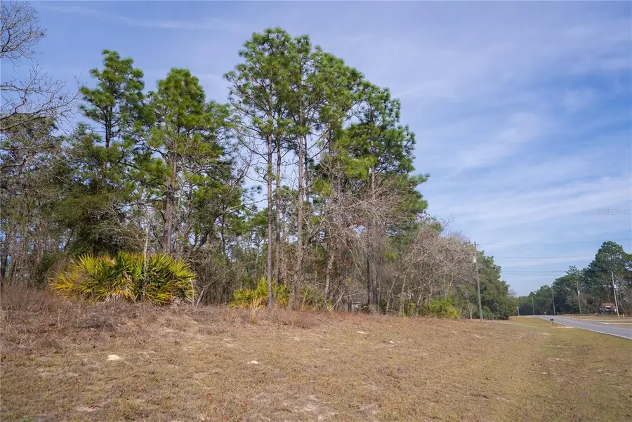 2173 W Citrus Springs Boulevard, Citrus Springs, FL 34434 - #2