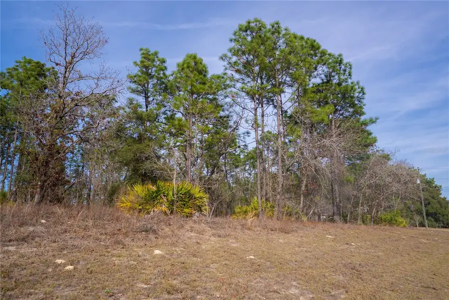 2173 W Citrus Springs Boulevard, Citrus Springs, FL 34434 - #3