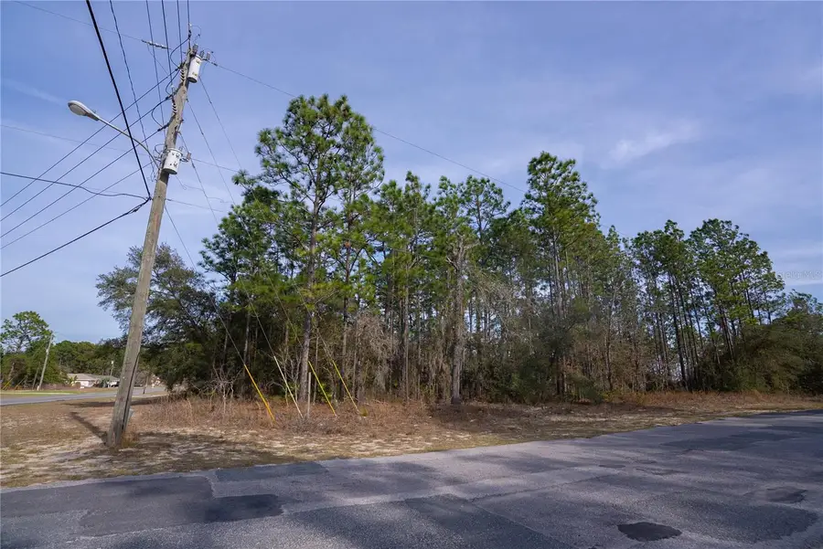 7391 N Cricket Drive, Citrus Springs, FL 34434 - #3