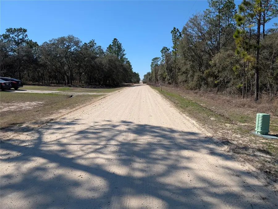 SW 81st Street, Dunnellon, FL 34432 - #2