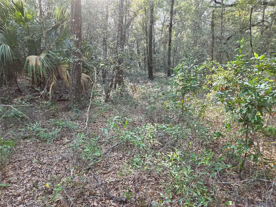 8150 NE 178th Terrace, Williston, FL 32696 - #3