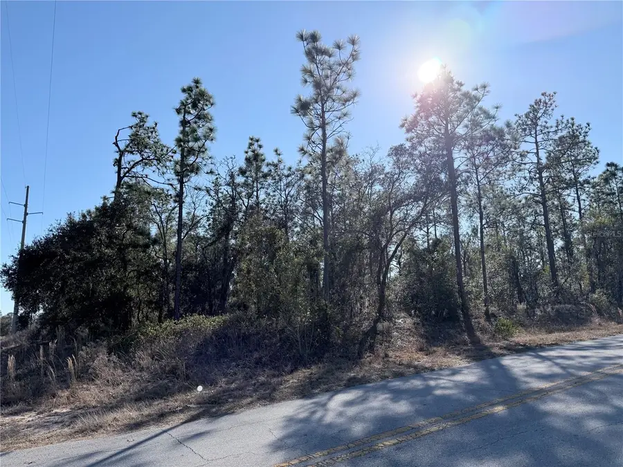 0 Sw Edgewater Blvd, Dunnellon, FL 34431 - #3