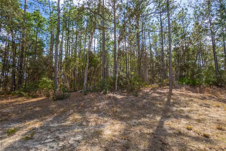 5100 N Red Ribbon Point, Beverly Hills, FL 34465 - #3