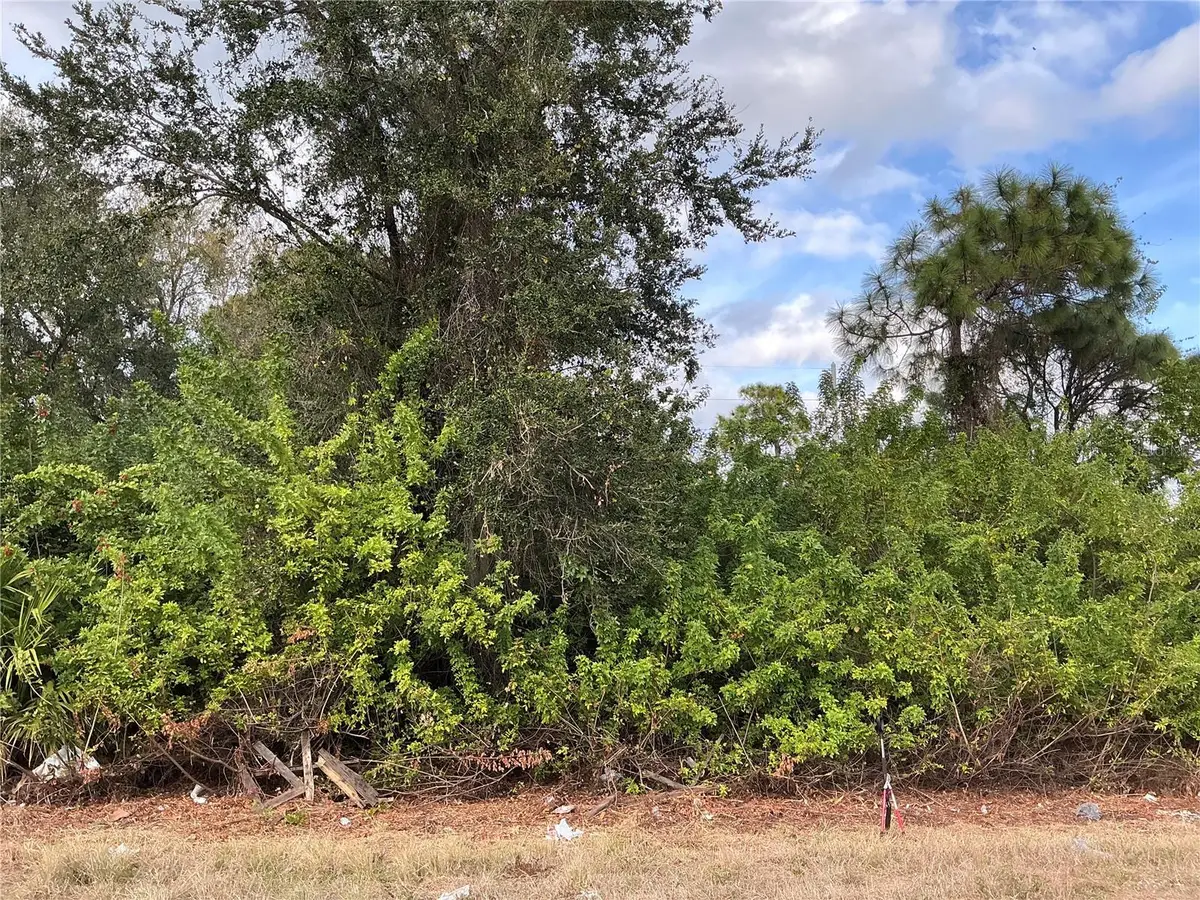 52 Gene Avenue S, Lehigh Acres, FL 33976 - #1