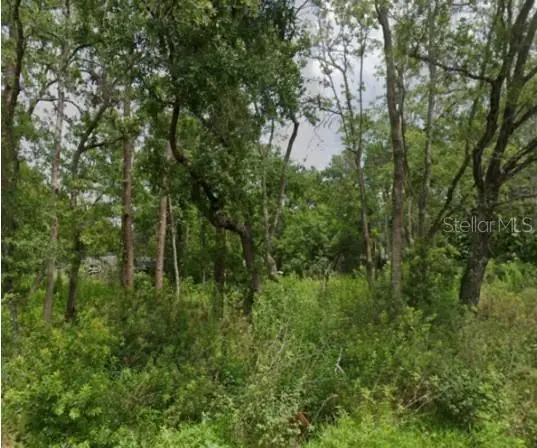 5728 Elaine Drive, Zephyrhills, FL 33541 - #2