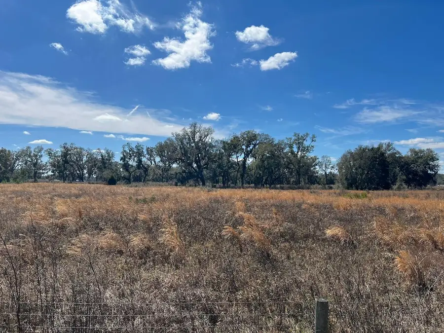 2351 NE Highway 41, Williston, FL 32696 - #2