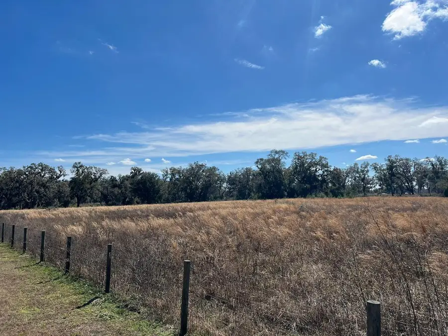 2351 NE Highway 41, Williston, FL 32696 - #3