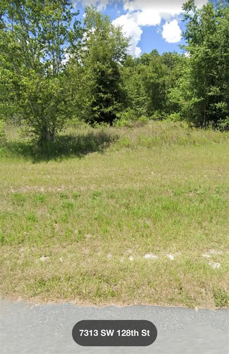 Sw 128 St, Ocala, FL 34473 - #1
