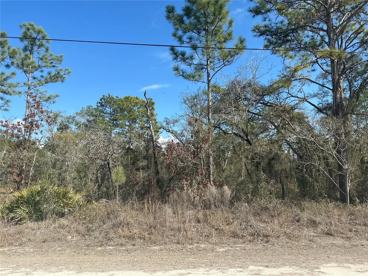 11072 Hyde Street, Weeki Wachee, FL 34614 - #1