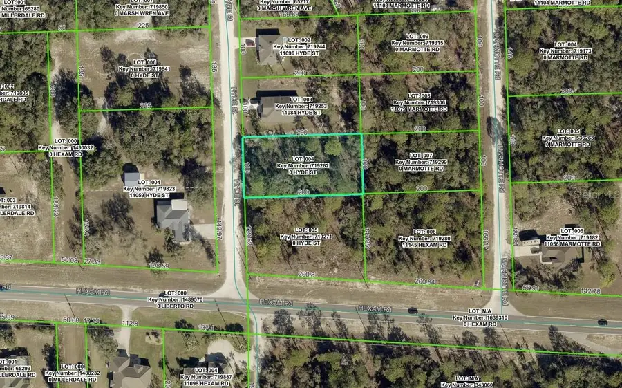 11072 Hyde Street, Weeki Wachee, FL 34614 - #2