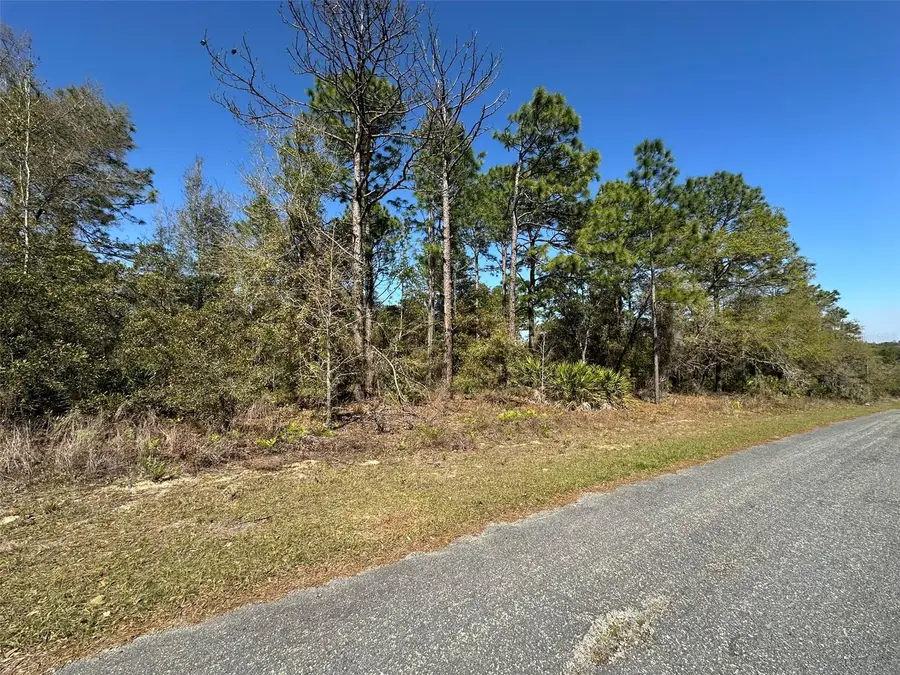 833 W Champlain Lane, Citrus Springs, FL 34434 - #3