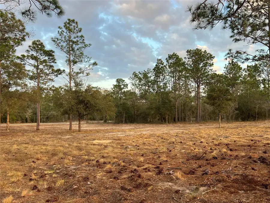 6 SW Lombardy Lane, Dunnellon, FL 34431 - #3