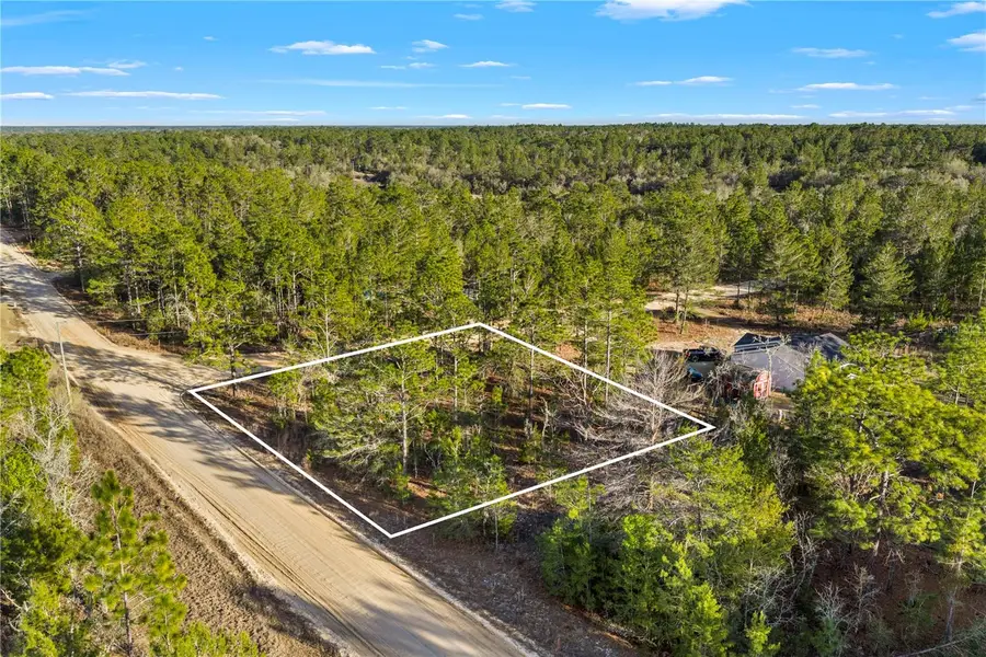 000 Rose Street, Interlachen, FL 32148 - #3