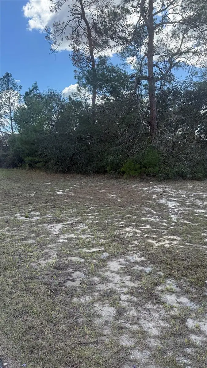 TBD SW 40th Circle, Ocala, FL 34473 - #1