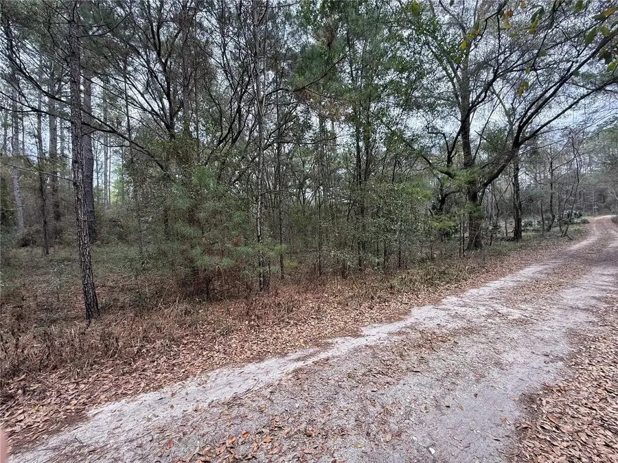 00 SW 9th Place, Ocala, FL 34481 - #3