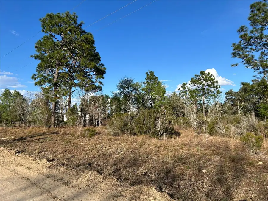 1091 NE 127th Court, Williston, FL 32696 - #2