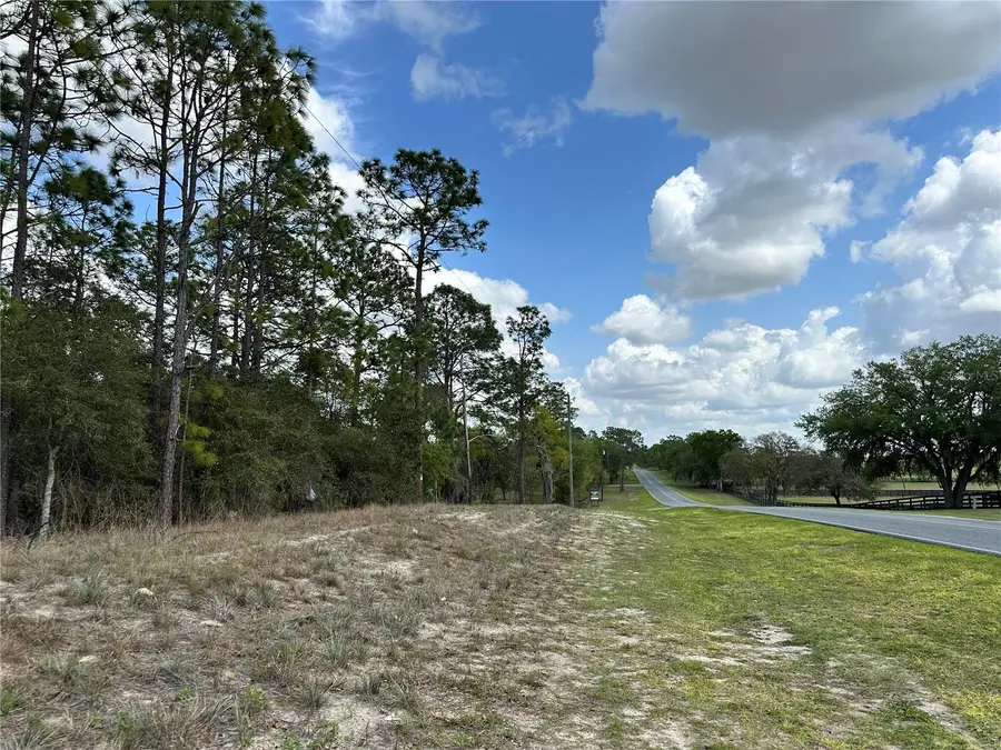 TBD SE 30th Street, Morriston, FL 32668 - #3