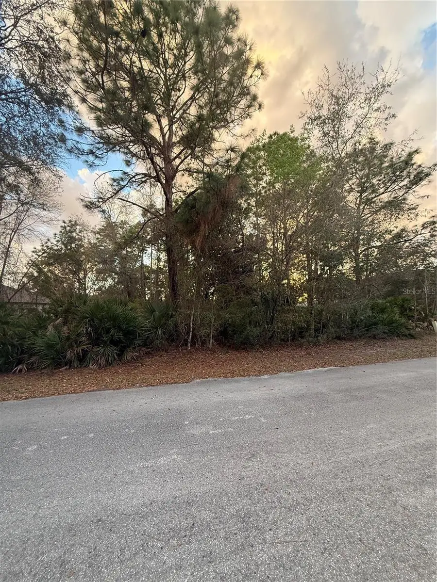 8 Mangrove Court N, Homosassa, FL 34446 - #1