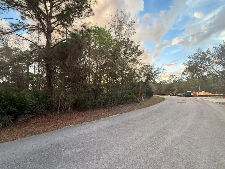 8 Mangrove Court N, Homosassa, FL 34446 - #3