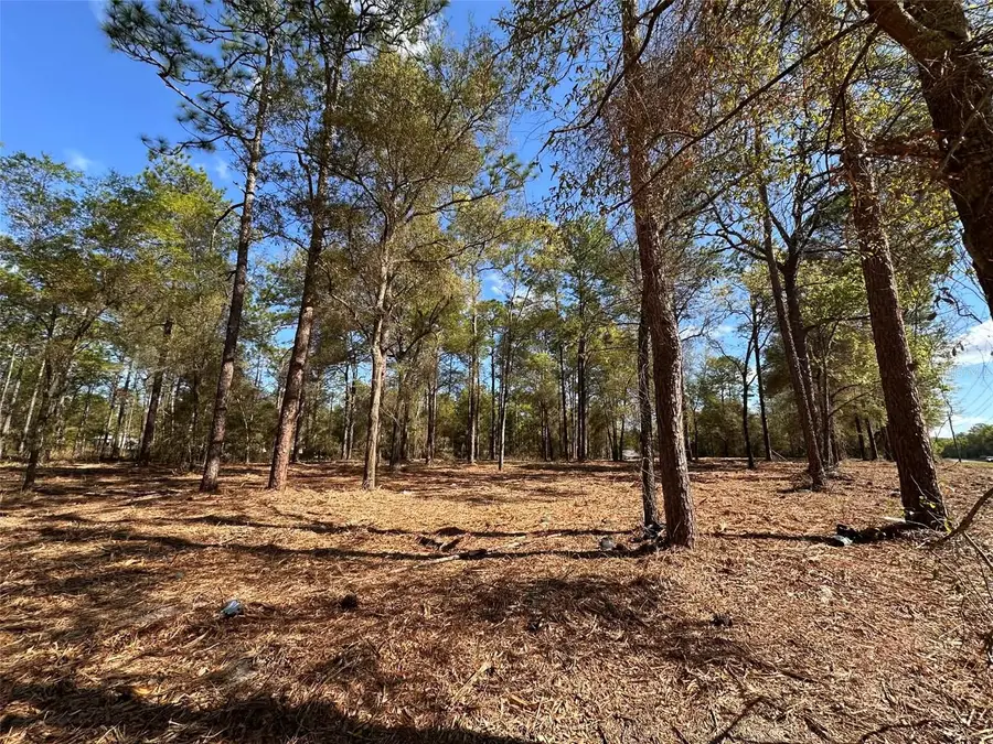 0 W Hwy 40, Ocala, FL 34481 - #2
