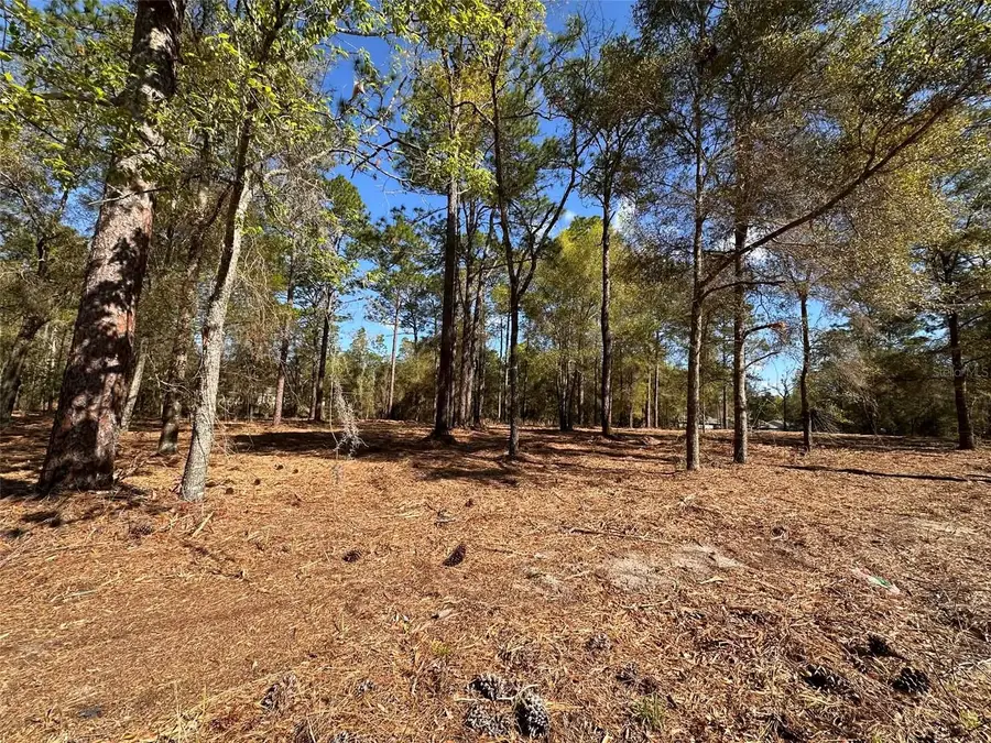 0 W Hwy 40, Ocala, FL 34481 - #3