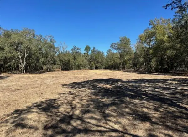 TBD NE 96th Street, ARCHER, FL 32618