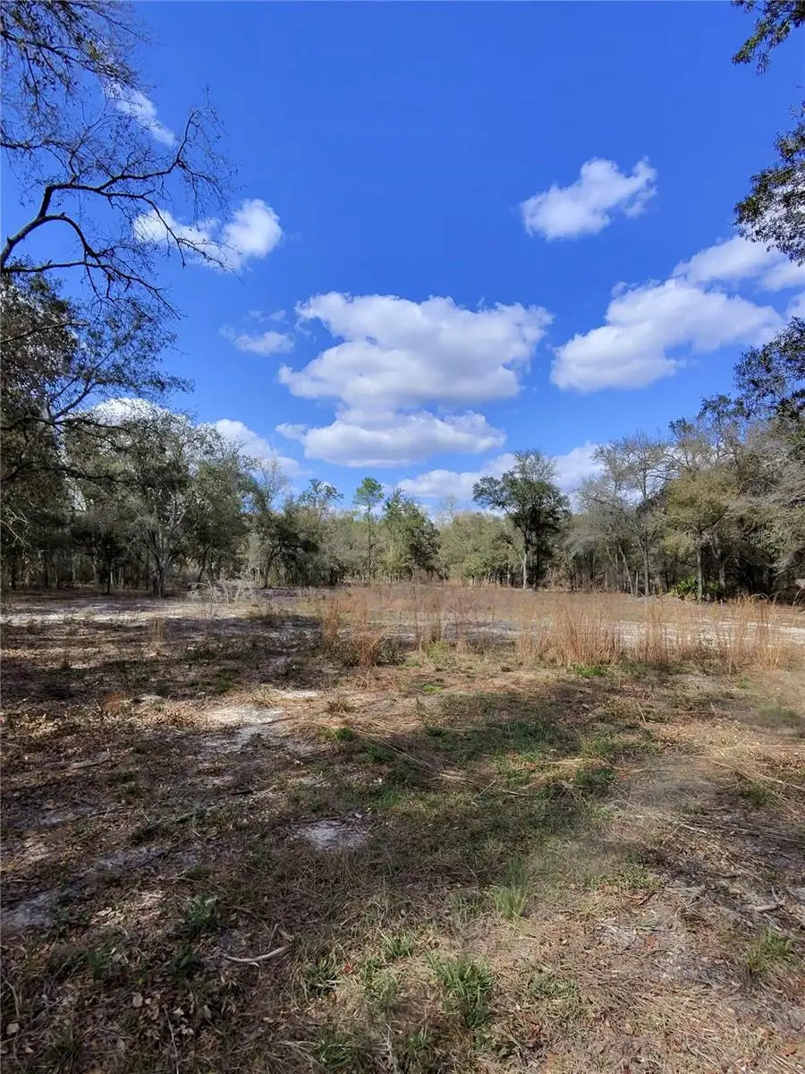 TBD NE 96th Street, Archer, FL 32618 - #3
