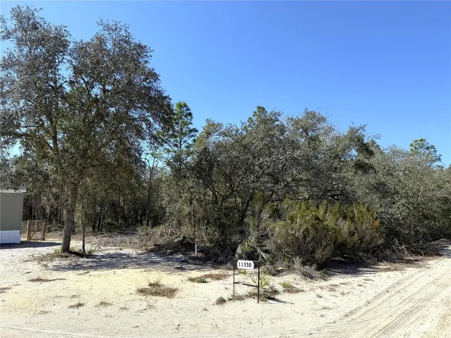 00 NE 67th Place, Williston, FL 32696 - #3