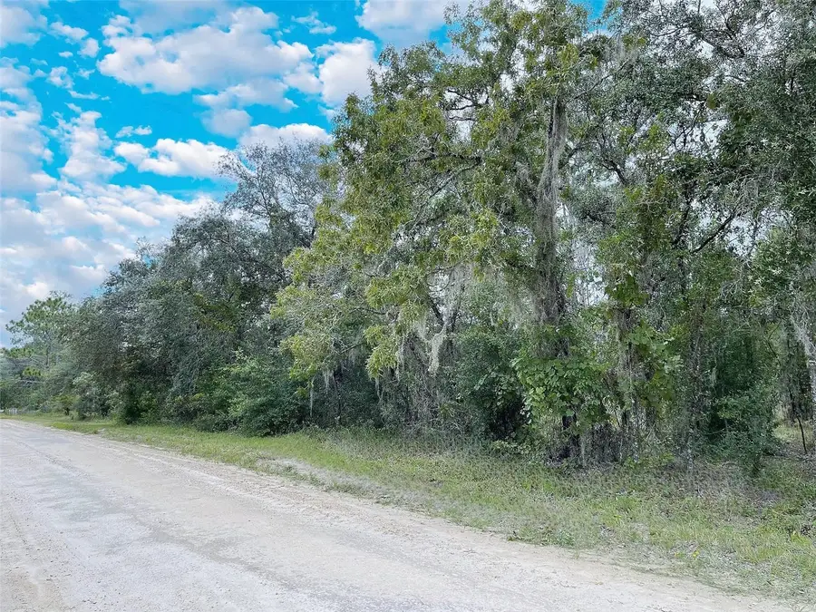 TBD NE 85th Street, Bronson, FL 32621 - #2
