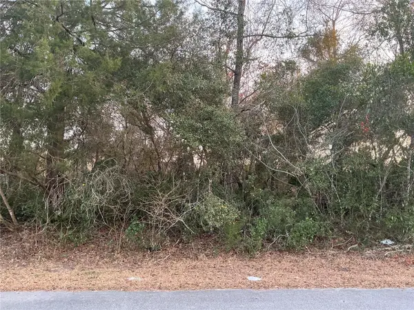 SW 138th Street, OCALA, FL 34473