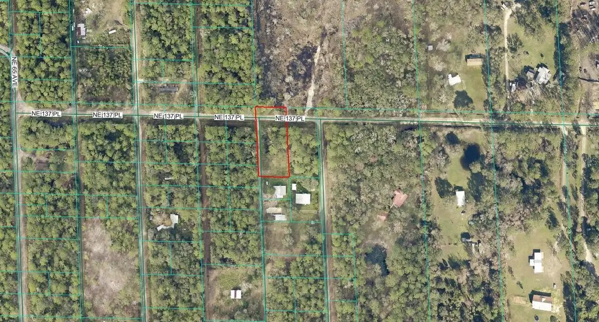TBD NE 137th Place, Citra, FL 32113 - #1