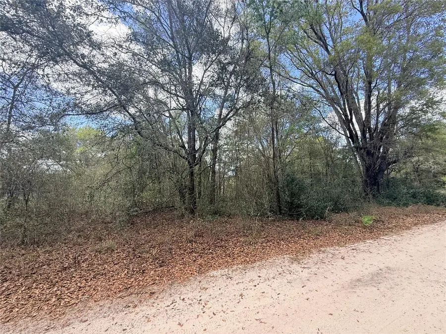 Lots 34-36 NW 52nd Ave, Ocala, FL 34482 - #3