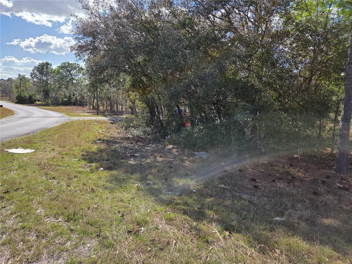 tbd NE 14th Place, Williston, FL 32696 - #1