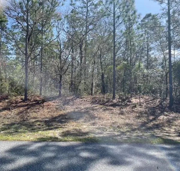 4707 N Sacramento Avenue, BEVERLY HILLS, FL 34465