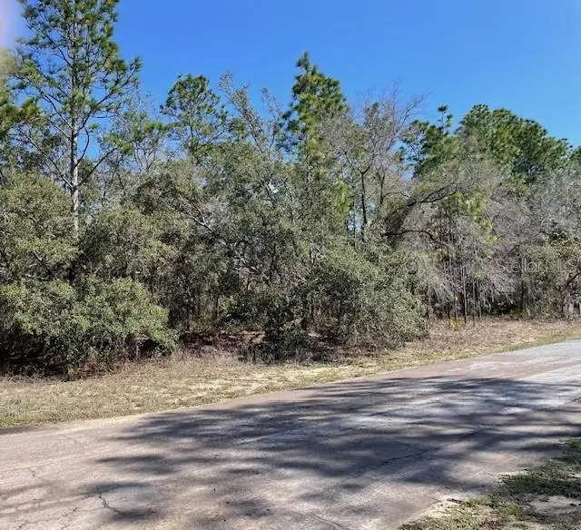 4707 N Sacramento Avenue, Beverly Hills, FL 34465 - #2