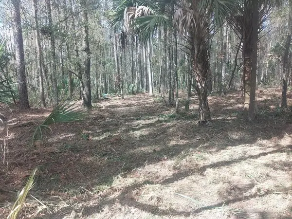 18954 County Rd 329, MICANOPY, FL 32667