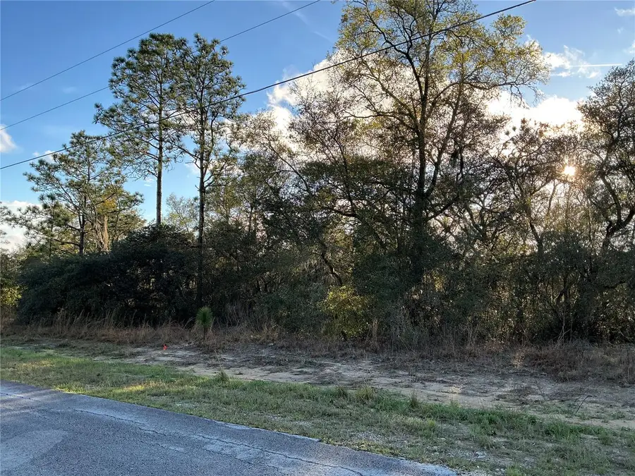 0 SW Azaleta Court, Ocala, FL 34471 - #3