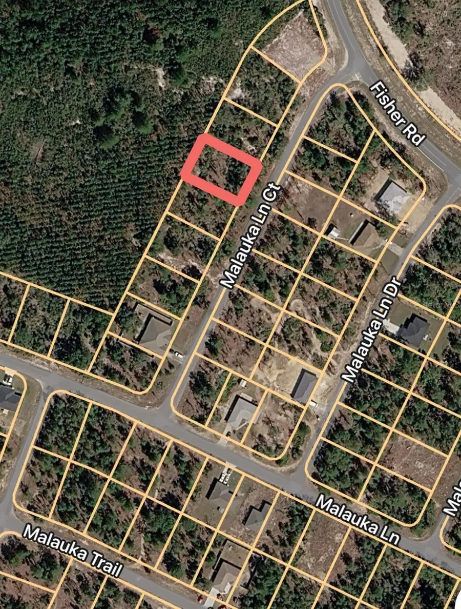 Malauka Lane Court, Ocklawaha, FL 32179 - #2