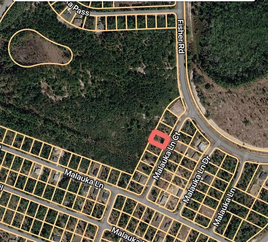 Malauka Lane Court, Ocklawaha, FL 32179 - #3