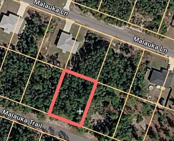 Malauka Trail, OCKLAWAHA, FL 32179