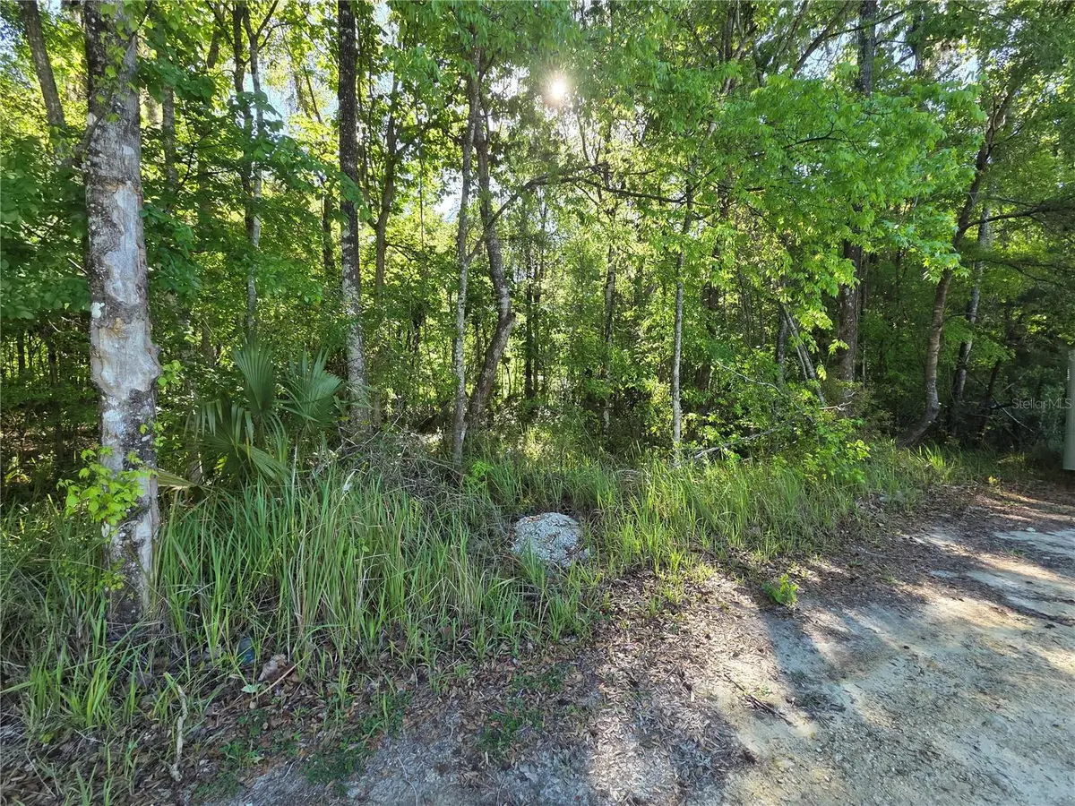 0000 SE 42nd Court, Belleview, FL 34420 - #1