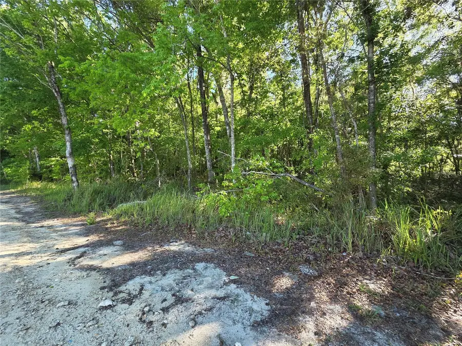 0000 SE 42nd Court, Belleview, FL 34420 - #2