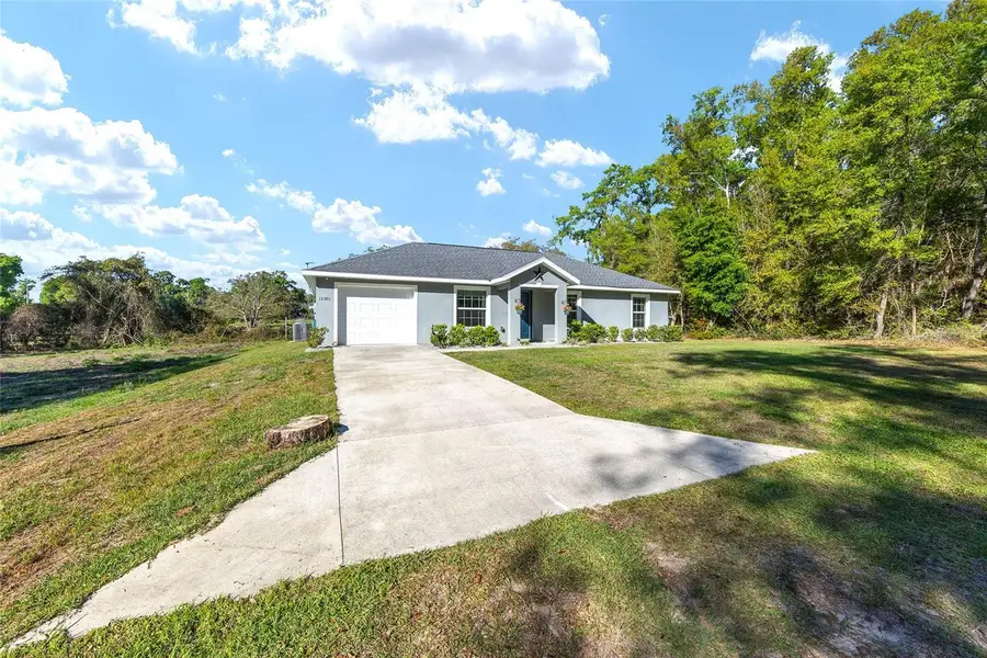 13390 SE 105th Terrace, Ocklawaha, FL 32179 - #2