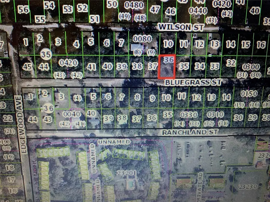 2406 Bluegrass Street, Inverness, FL 34453 - #3